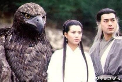  似曾相识|欧阳锋有一个隐藏的徒弟, 武功天下第一, 后期武功远超欧阳锋!