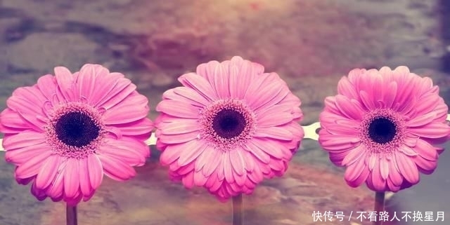 种东西不可|好人有好报,好因有好果!善良做人,心安一生