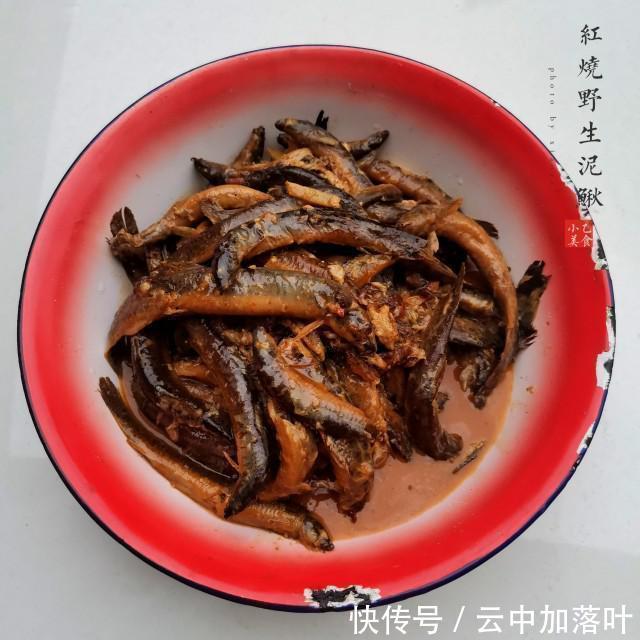 下饭|红烧野生泥鳅,酱香浓郁,十分下饭