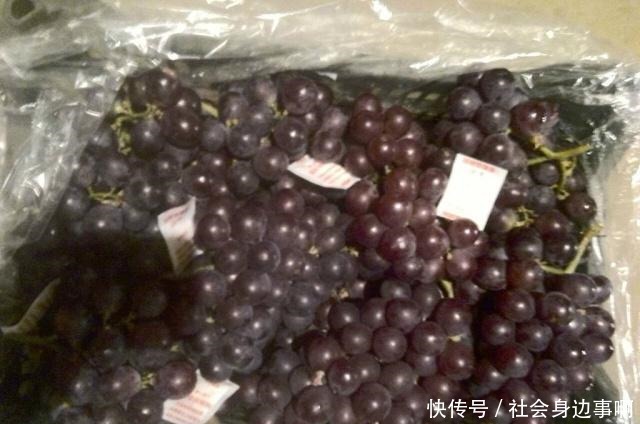 天价西瓜|它原产日本,堪称贵族水果,一斤230元,引入我国后成平民价