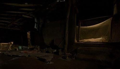  再次发生|人豹冲突再次发生这次是豹子吃人，40岁男子半夜被豹子叼到森林