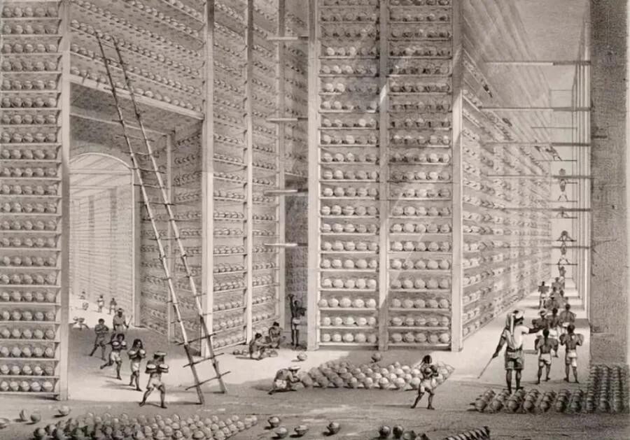 近代|近代臭名昭著的东印度公司，到底有多少个，属于哪些国家的