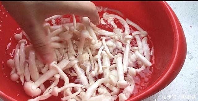 氨基酸|入秋后,吃鸡鸭鱼肉不如吃它,45元一斤有点贵,健脑强筋骨!