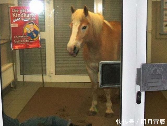  荒唐|10张那些看起来“荒唐”的照片，让人很难理解到底是怎么回事