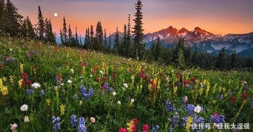 横财|9号起,运势飞涨,有福气有财运,横财赚不停,钞票堆成山三生肖