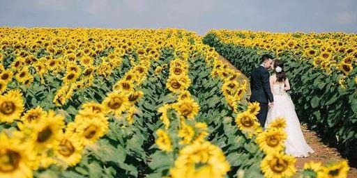 刘丹妮和王|“把彩礼还回来,否则我让我儿子和你离婚”婆婆威胁儿媳被打脸