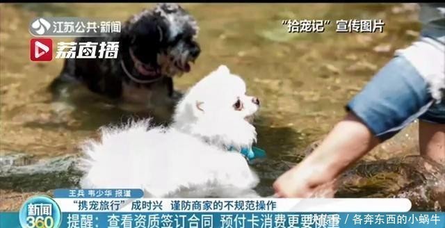 预付费|看着很美！“带着宠物去旅行”还可办预付费卡 充值容易退款难