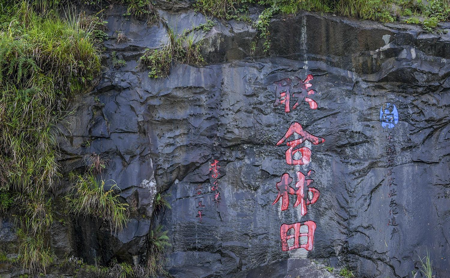 蛤蟆|养在深闺的联合梯田，蛤蟆一跳过三丘
