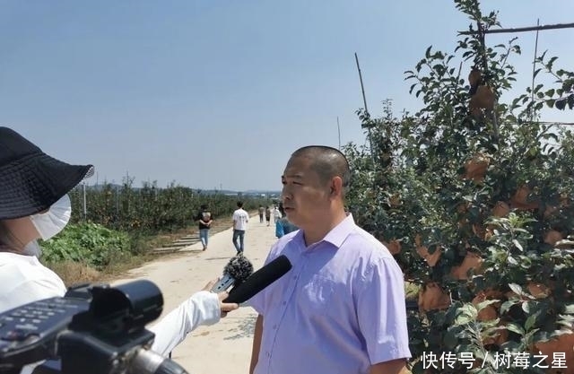 样板片区|乡村振兴看威海主题活动启动，首站走进埠柳