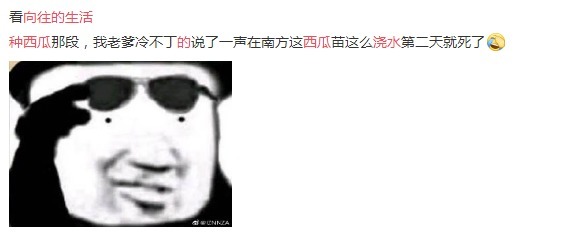  向往|向往的生活张子枫给瓜苗浇水！懂的人看了无奈还得靠工作人员