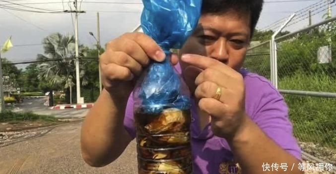 大叔|大叔塞15只活螃蟹到容器,1个月后,大叔乐坏了