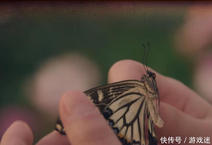 彩蛋细节解|《精神病》结局前解析!钢太闯进童话,儿时文英杀的是变种蝴蝶