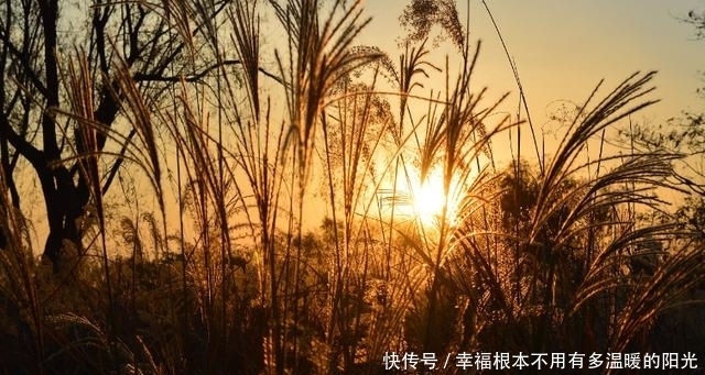 生活当中|自律为王，自带光芒的三大星座。做人不卑不亢，且从容优雅识大体