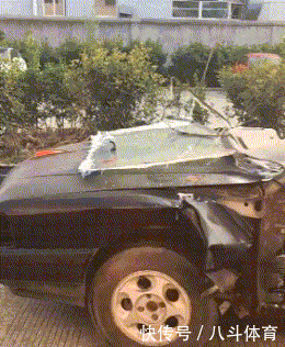 gif|搞笑gif:为了藏5元私房钱,又逼疯了一个