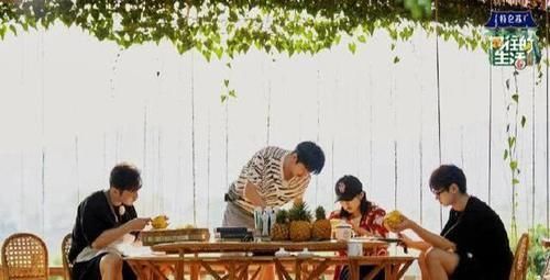 不尬|《向往的生活》贡献本季最佳一期,笑点不尬,嘉宾不“假”