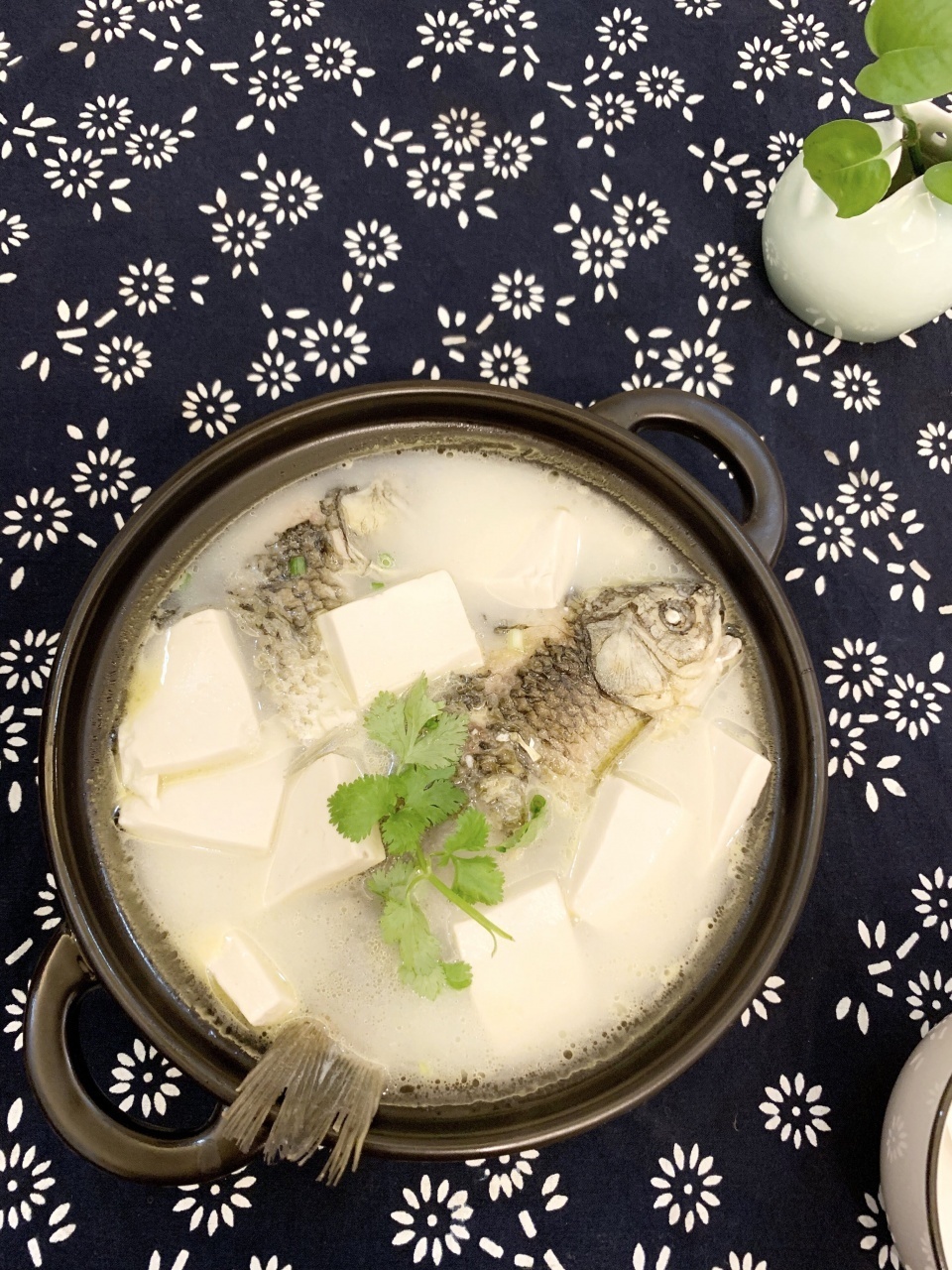 鱼汤|不管炖什么鱼,都不要加这“2种调味料”,做不对鱼汤又腥又难喝