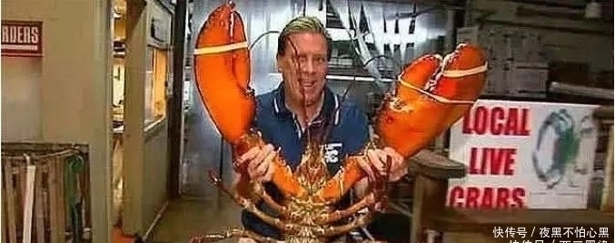 干瞪眼|这只龙虾活了134年,受国家特赦免死,吃货只能干瞪眼