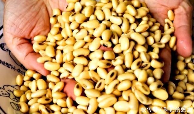 切成|做黄豆酱时,只懂加盐那就错了!一直坚持这一步,放三个月都不坏