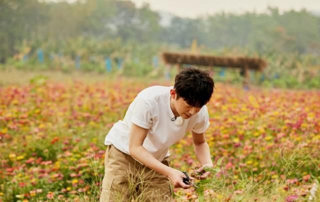  向往|《向往4》正式开播,周迅全程素颜出镜,何炅节目现场飙