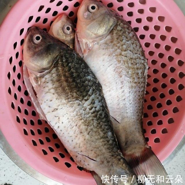 香味|红烧鲫鱼,鲜香味美,下酒下饭