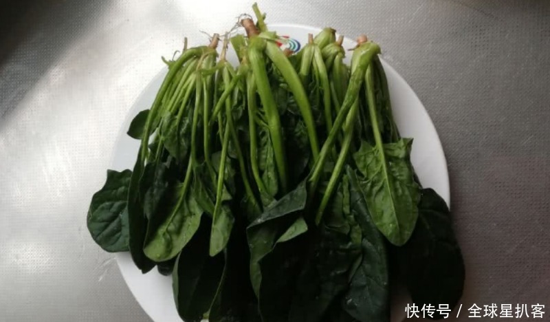 外形|非常有美感的翡翠烧卖,虽然外形靓丽,味道更是一流