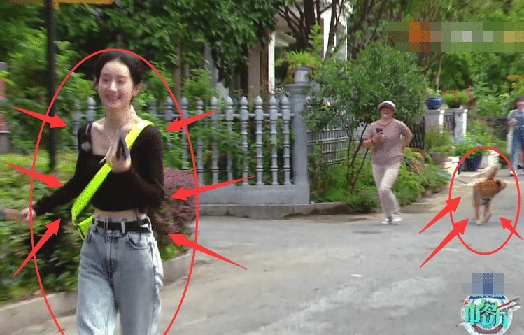 到直|赵丽颖被狗吓到直跑,狗主人跟她道歉,从她的回应方式看出人品!
