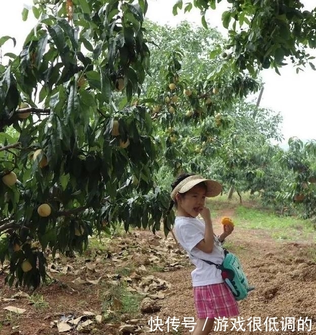 章子怡|章子怡最新全家福!15岁继女长成家里最美,穿得个性却没醒醒精致