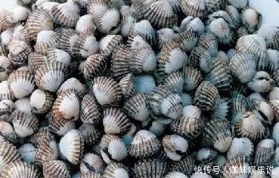 海鲜|海鲜大全, 你能认出多少