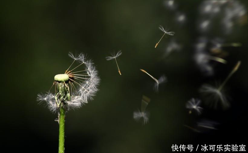 生活|10月喜鹊来报喜，3生肖生活过得美滋滋