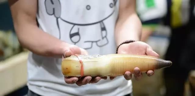 海鲜|世界上65种珍奇海鲜,贝爷都不敢说全部吃过,你吃过几种