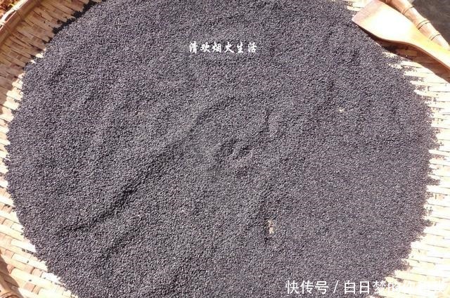 芝麻丸|夏天阳光好赶紧做它,做一次吃半年,每天吃气色好,头发乌黑亮泽