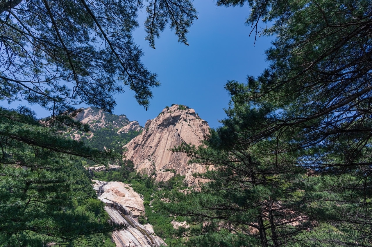  曲折|在泰山的东北麓，有一条蜿蜒曲折的登山路直达岱顶