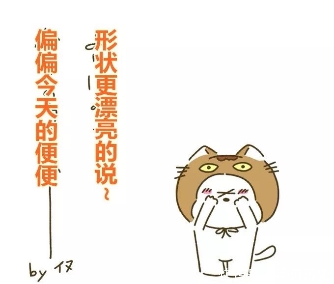 报警|装狗便便的包被抢走，她懵逼站路边，哭问“这……这能报警吗？”
