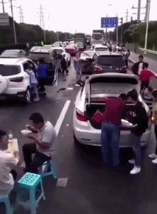 自由|搞笑GIF:没有什么能够阻挡,你对自由的向往