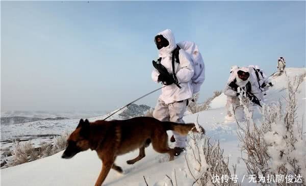 朋友|二战军犬隐忍八年,巡逻时碰到一个德军后,发疯似的猛扑过来!