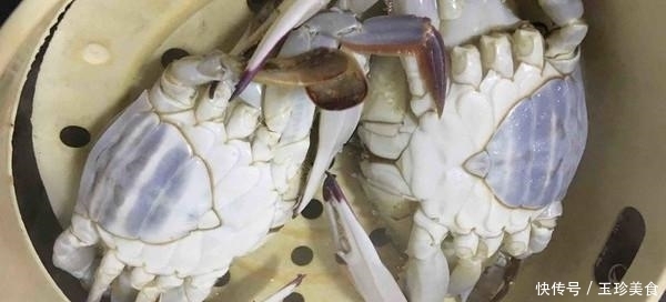 正确|梭子蟹到底要蒸多久?告诉你正确的蒸法,保证梭子蟹的味道最鲜美