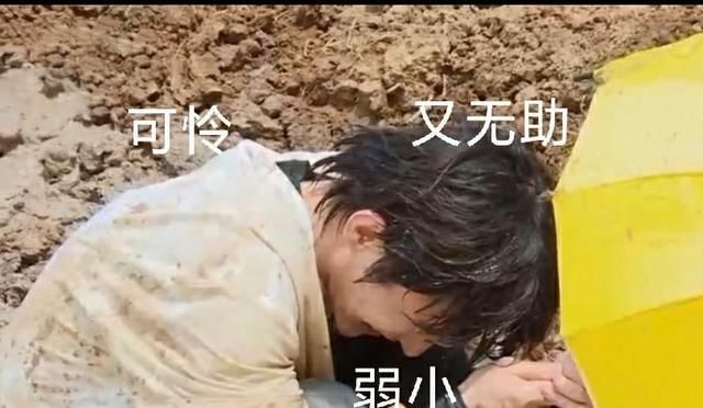 奔跑|《奔跑吧》排名第一,Angelababy偷蔡徐坤鞋垫,竟成节目最大亮点