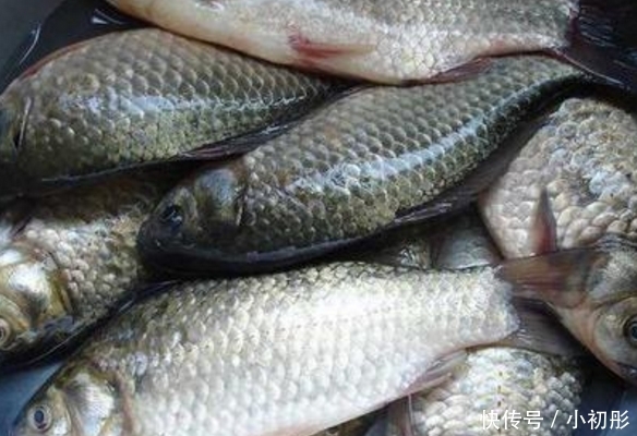  吃起来口感|菜市场最“坑”的3种鱼，很多人经常买，鱼贩子：我们都不吃