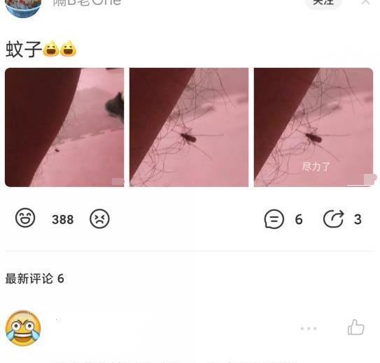 天价|“为什么男人管20w的车叫破车，给女方20w的彩礼就喊天价？”哈哈哈哈