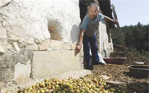 湖北|湖北86岁老人在墓穴生活35年,一辈子没结婚,直言:人心比鬼可怕