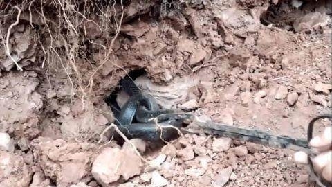 顿时|小伙和朋友上山,朋友用铁锹挖开一洞口,小伙顿时不敢靠近了