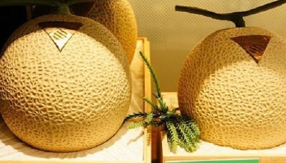 土豪|世界上最贵的4种水果,吃过1种就算土豪,最后一种能买套别墅