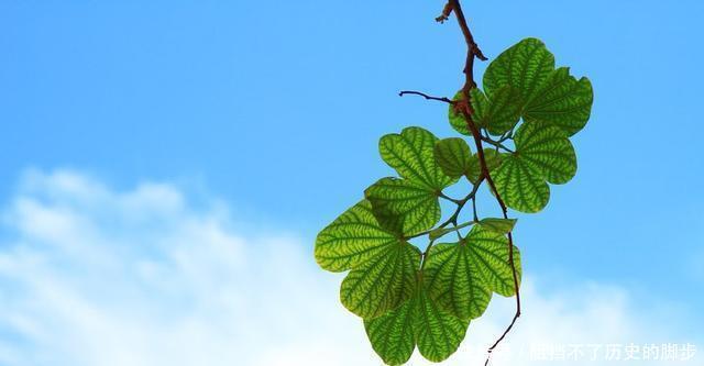 语录|晚安 看完这些语录就睡吧 好梦！