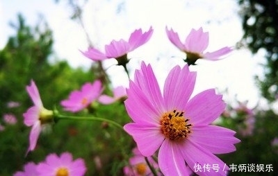  财气|大喜天降！下周开始喜鹊送喜报，财气入命来，强势逆袭的3生肖