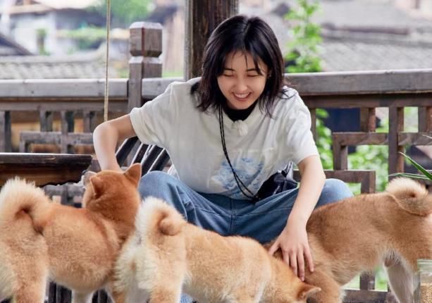  生活|《向往的生活》收视率直线下滑，无法延续好口碑，原来是这个问题