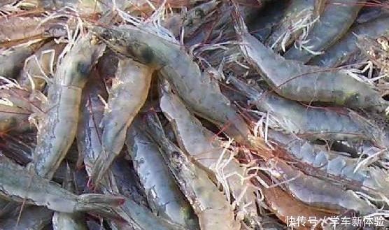 坑人|海鲜市场最“坑人”3种海鲜，看着新鲜还便宜，其实一个比一个坑