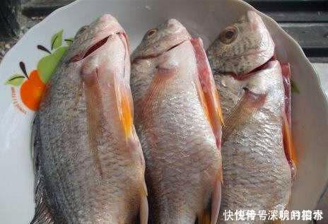  妈妈煎|不管煎什么鱼，直接下锅可不对，先做这一步，鱼皮才完整！