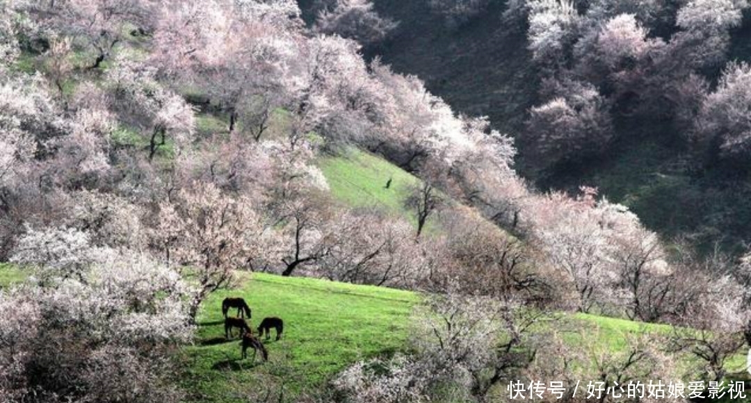 写下|王安石晚年大病一场，还写下两首凄美之作，每一首都感人肺腑！