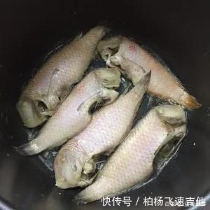  方头鱼|女性必吃的一种海鱼