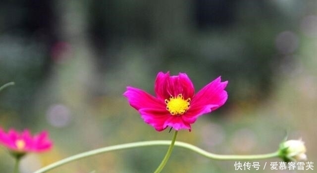 男朋友|带有钱的男朋友来见父母,他们很开心,他走后父母让我跟他分手